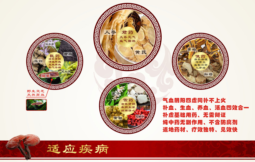 參芪博力康海報(bào)X展架3_03.jpg